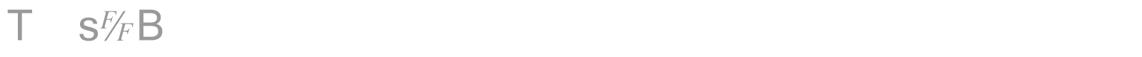 TmsFB font preview