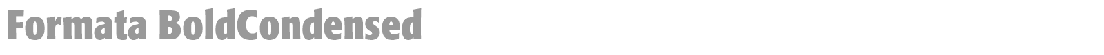 Formata font preview
