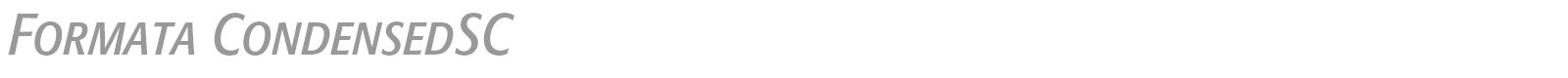 Formata font preview