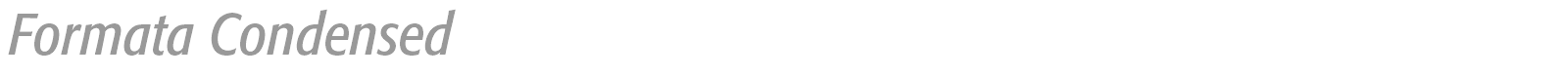 Formata font preview