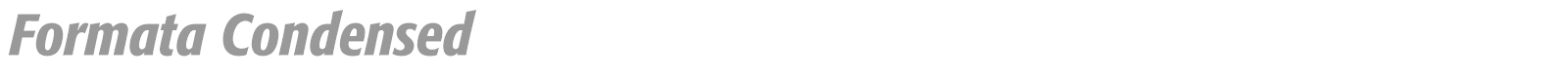Formata font preview