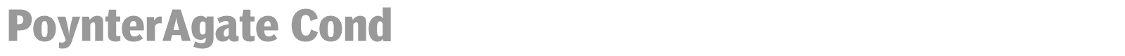 PoynterAgate font preview