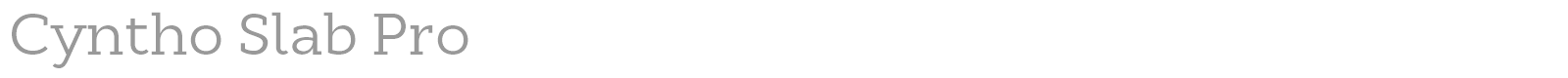Cyntho Slab Pro font preview