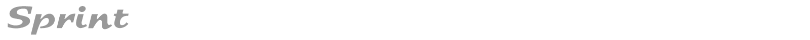 Sprint font preview