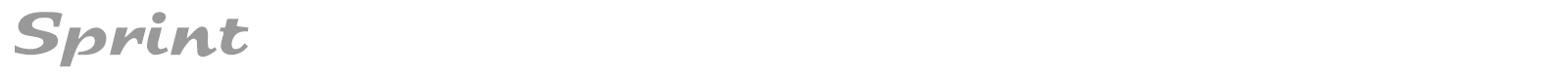 Sprint font preview