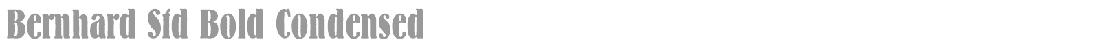 Bernhard Std font preview
