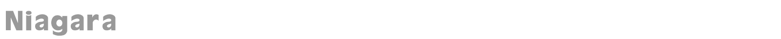Niagara font preview