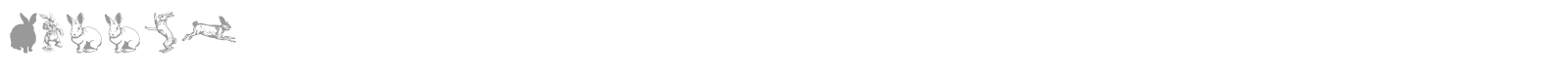 Rabbit font preview