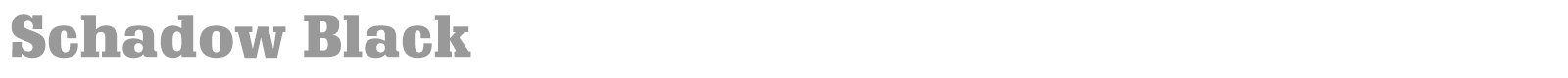 Schadow-Antiqua BQ font preview