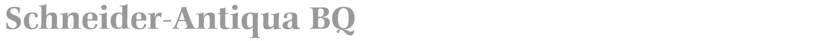 Schneider-Antiqua BQ font preview