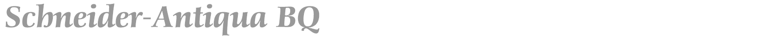 Schneider-Antiqua BQ font preview