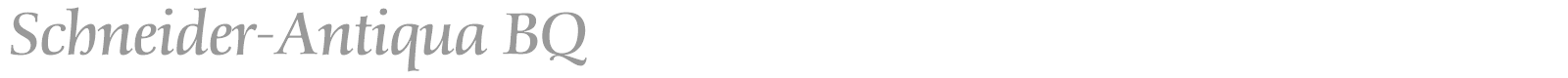Schneider-Antiqua BQ font preview