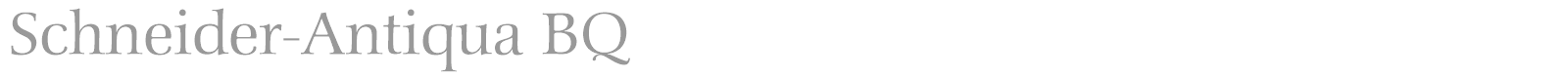 Schneider-Antiqua BQ font preview