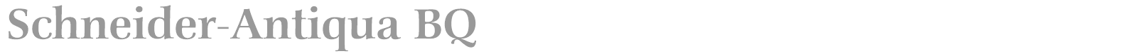 Schneider-Antiqua BQ font preview