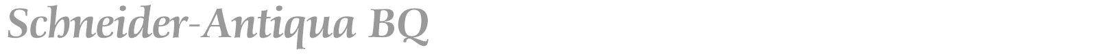 Schneider-Antiqua BQ font preview