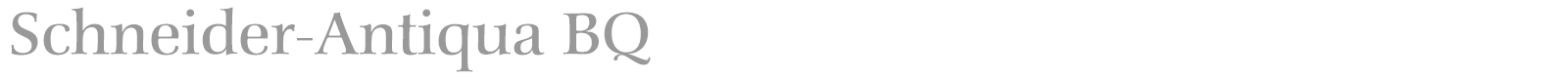 Schneider-Antiqua BQ font preview