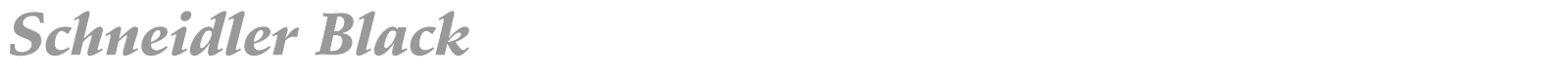 Schneidler Blk BT font preview