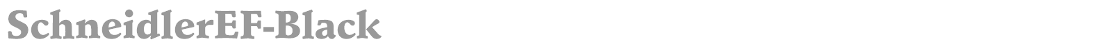 Schneidler Blk BT font preview