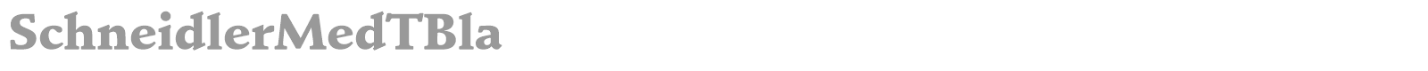 Schneidler Blk BT font preview