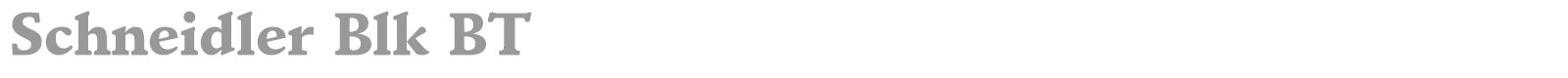 Schneidler Blk BT font preview