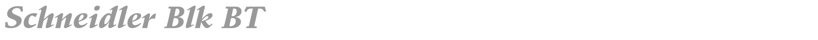Schneidler Blk BT font preview