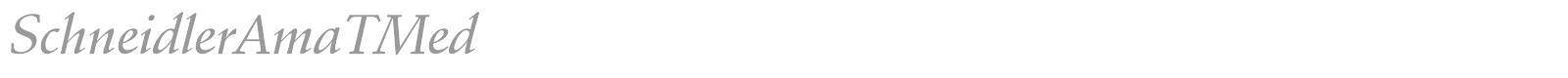 SchneidlerAmaTBla font preview