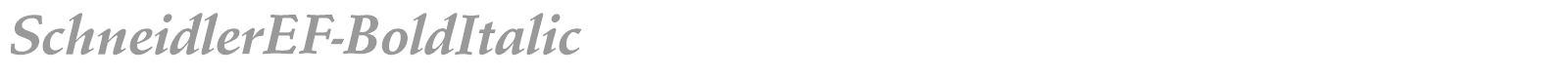 SchneidlerAmaTBla font preview