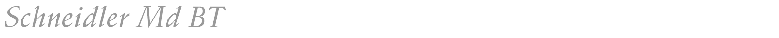 SchneidlerAmaTBla font preview