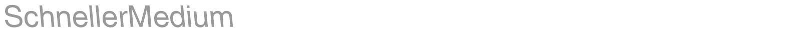 SchnellerMedium font preview