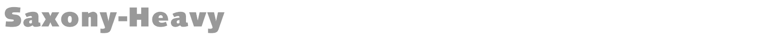 Saxony-Bold font preview