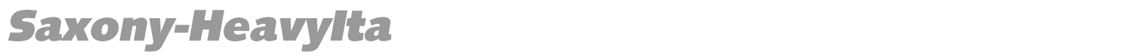 Saxony-Bold font preview