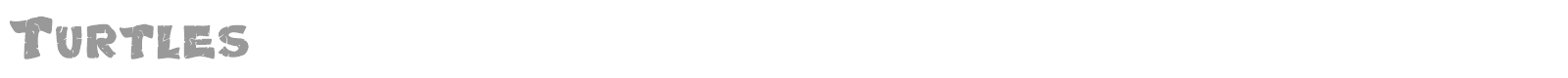 Turtles font preview