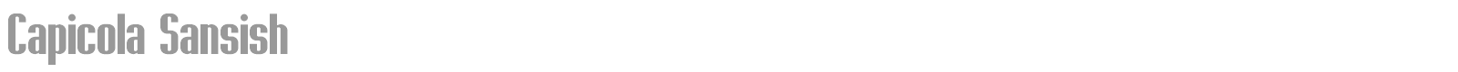 Capicola Sansish font preview