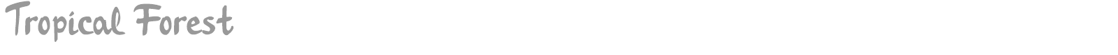 Tropical Forest font preview