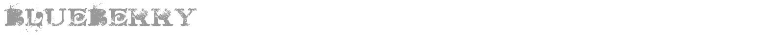 Blueberry font preview
