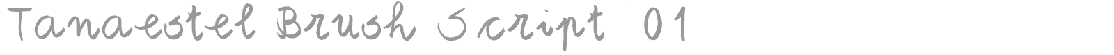 Tanaestel Brush Script 01 font preview
