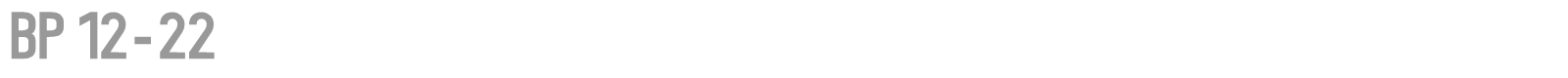 BP 12 22 font preview