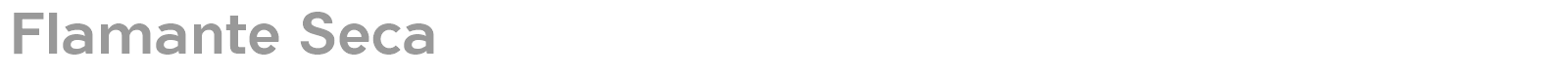 Flamante Seca font preview