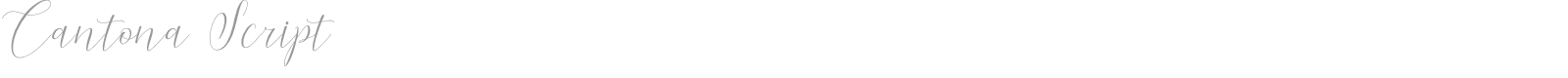 Cantona Script font preview
