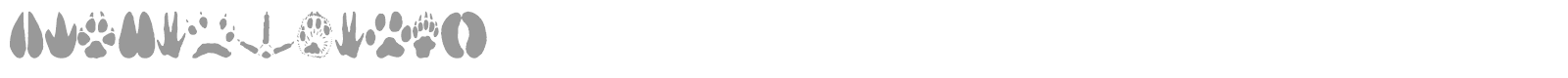 Animal Tracks font preview