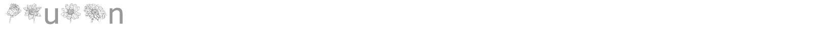 Blumen font preview