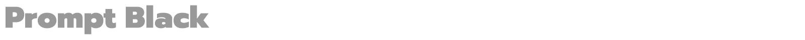 Prompt font preview