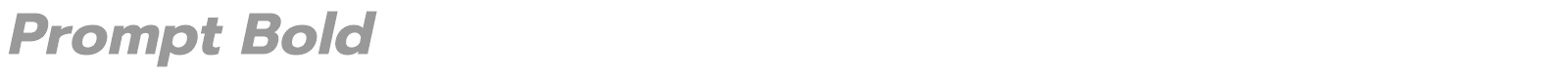 Prompt font preview