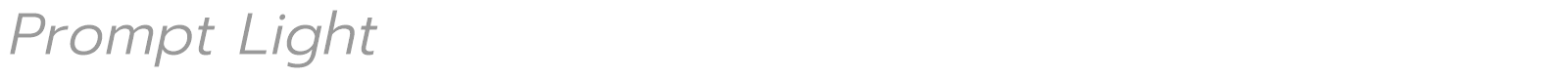 Prompt font preview