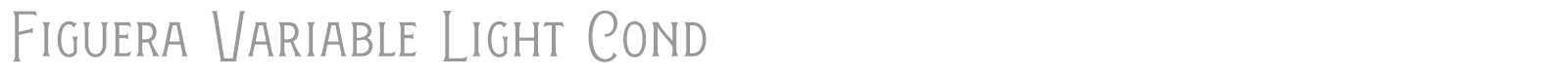 Figuera Variable font preview