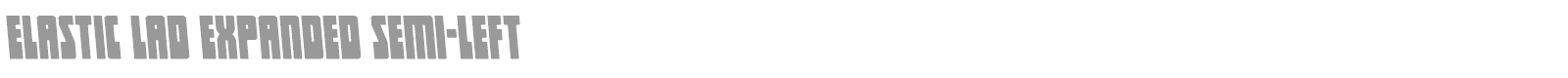Elastic Lad font preview