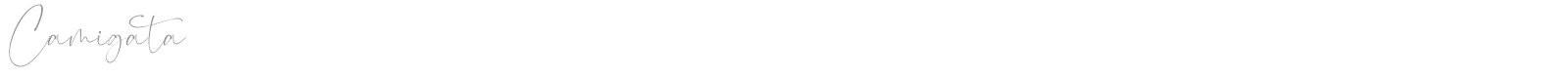 Camigata font preview