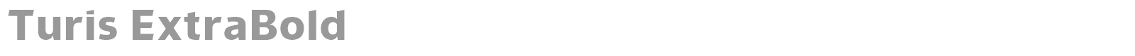 Turis font preview