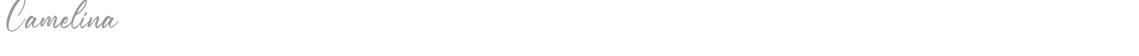 Camelina font preview