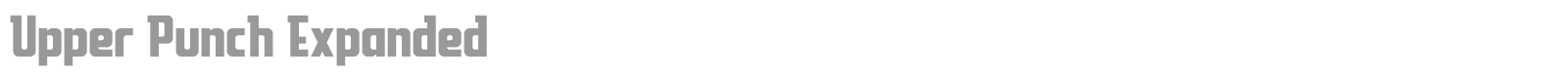 Upper Punch font preview